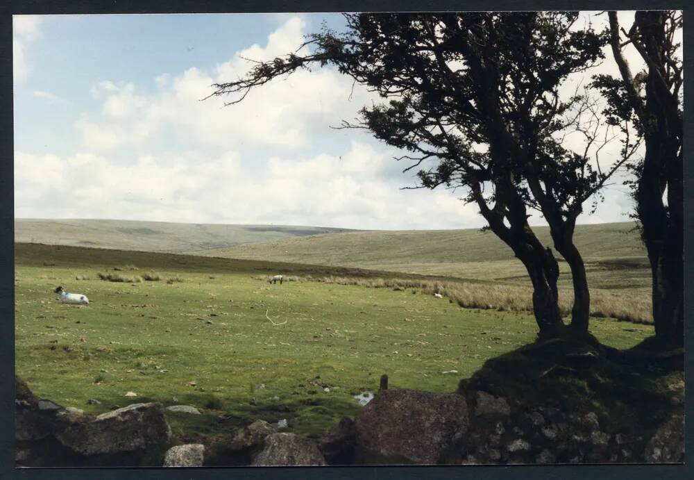 An image from the Dartmoor Trust Archive