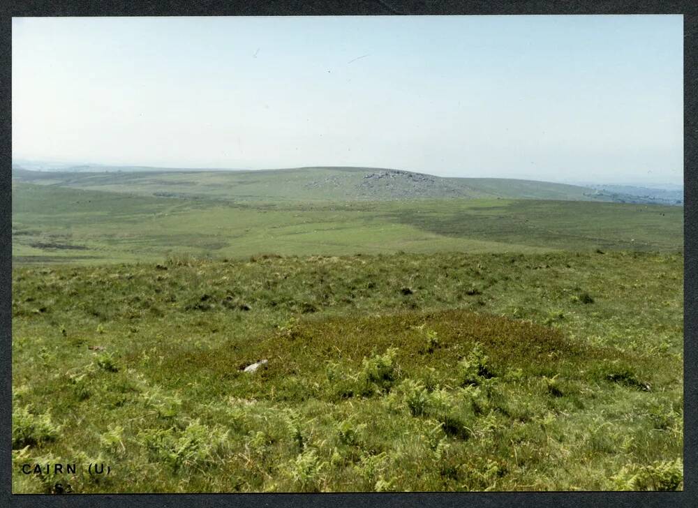 An image from the Dartmoor Trust Archive