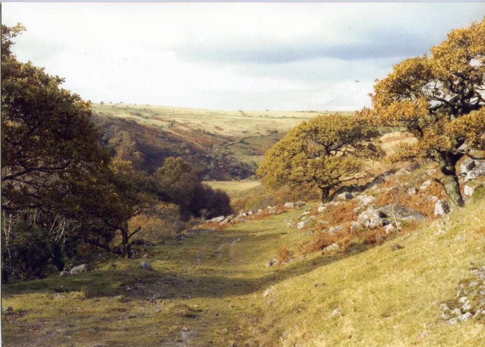 An image from the Dartmoor Trust Archive