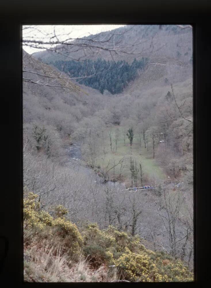 Fingle Bridge