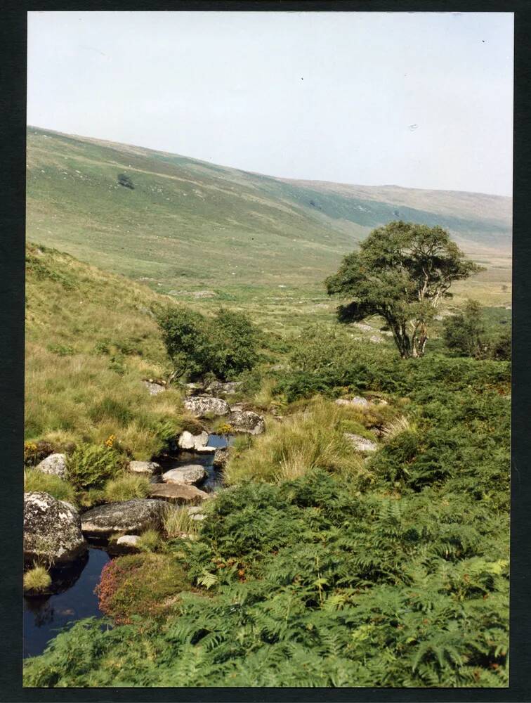 An image from the Dartmoor Trust Archive