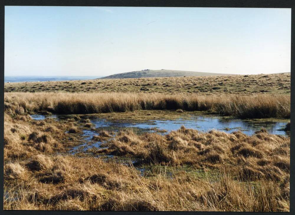 37/3 Source of East Glazebrook 3/1995