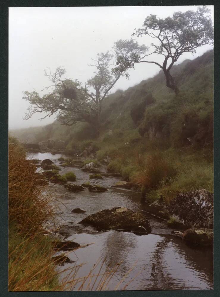 An image from the Dartmoor Trust Archive