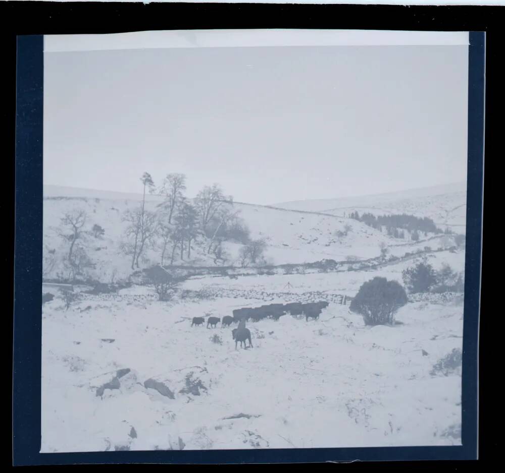 An image from the Dartmoor Trust Archive