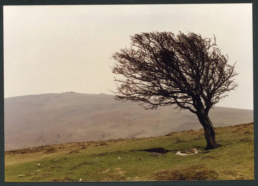 6/14 Near source of Scad to Beacon rocks 27/3/1991