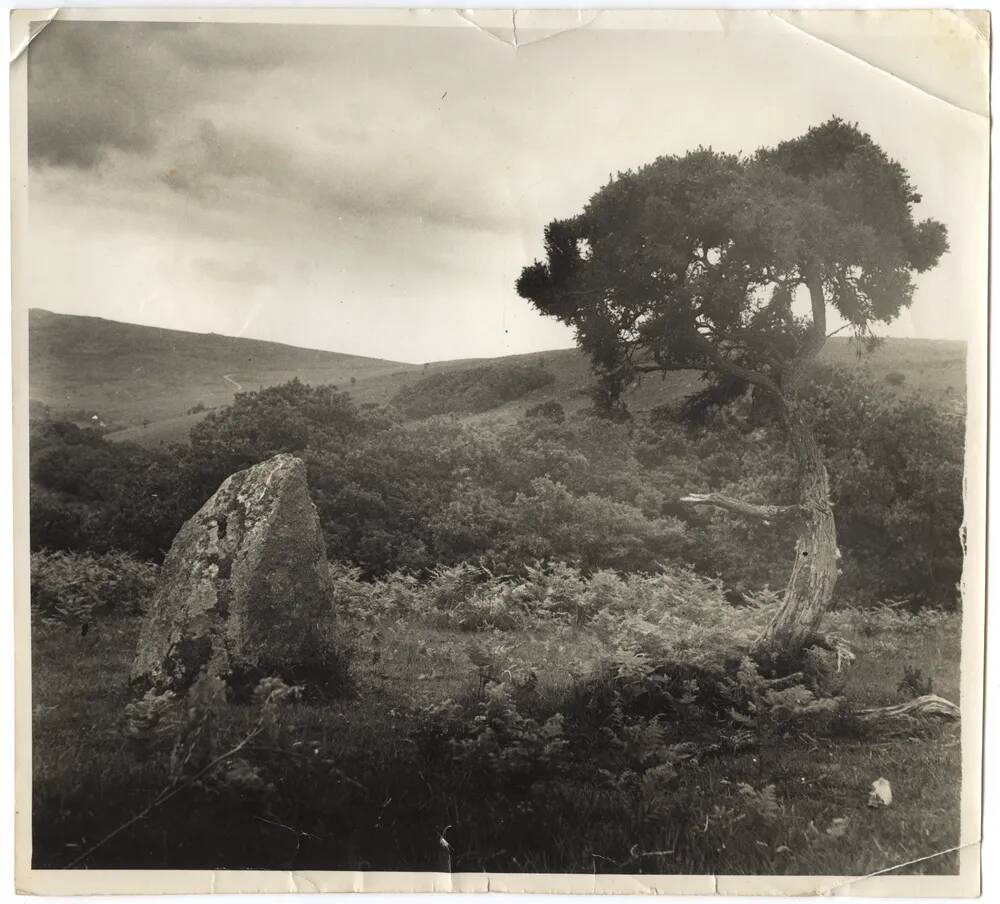 An image from the Dartmoor Trust Archive