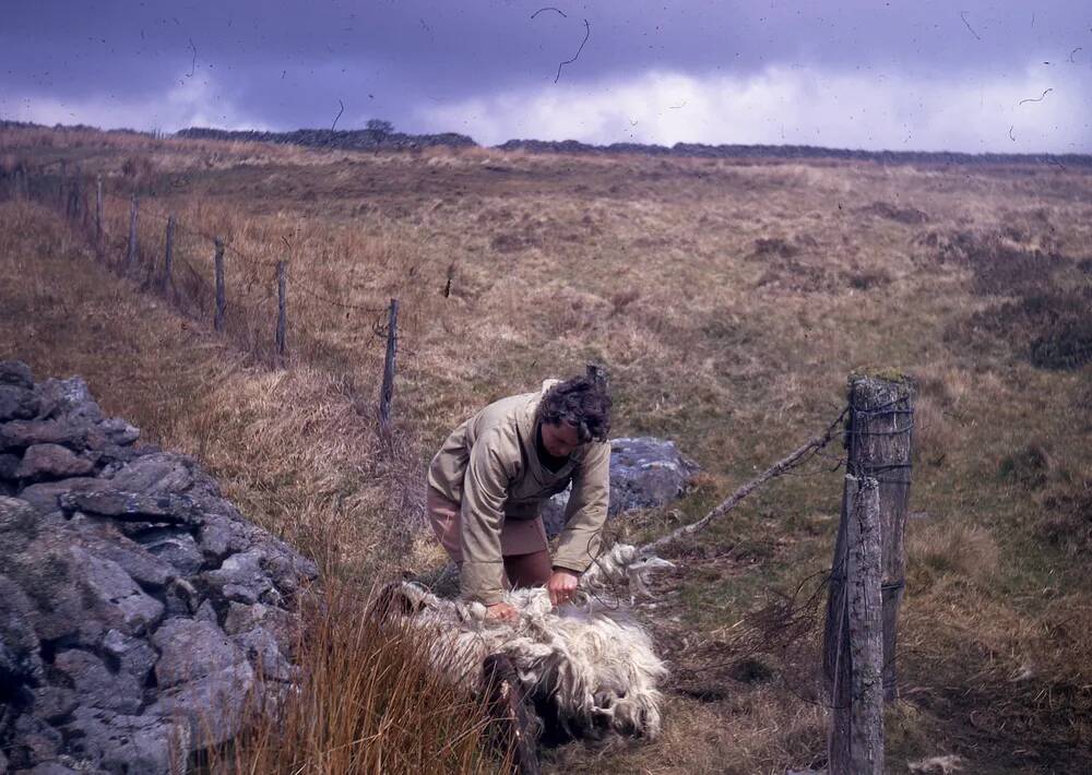 An image from the Dartmoor Trust Archive