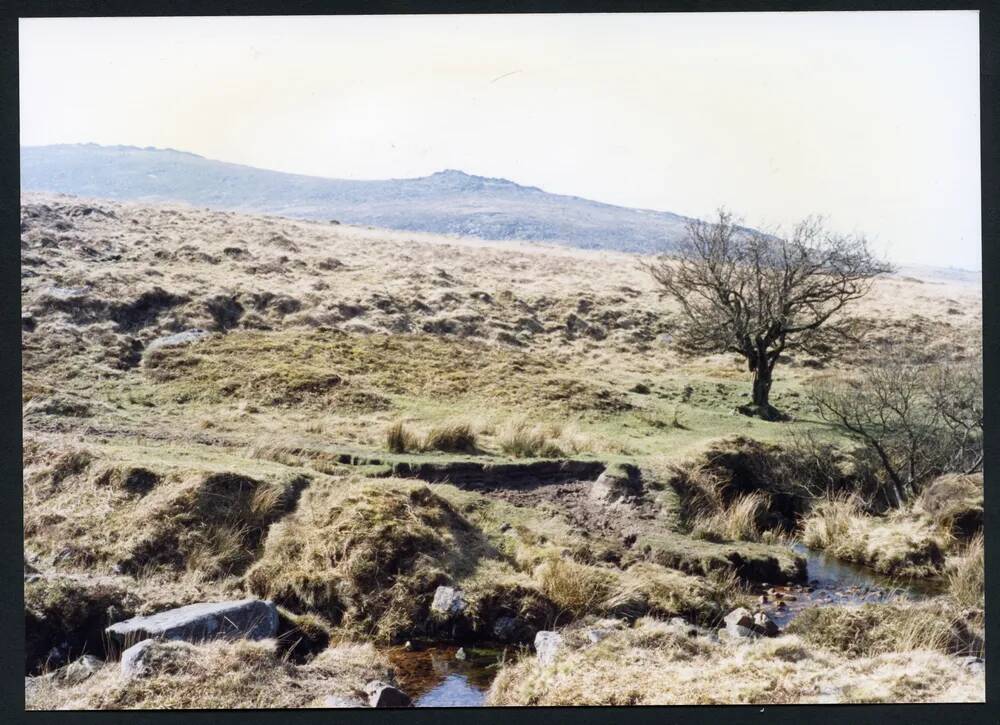 An image from the Dartmoor Trust Archive