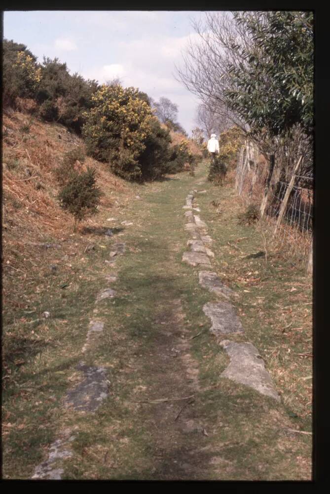 Haytor Tramway near Yarner woods