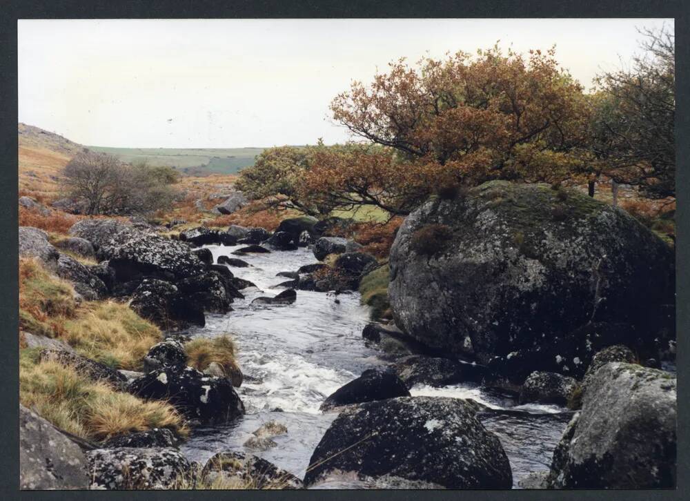 An image from the Dartmoor Trust Archive