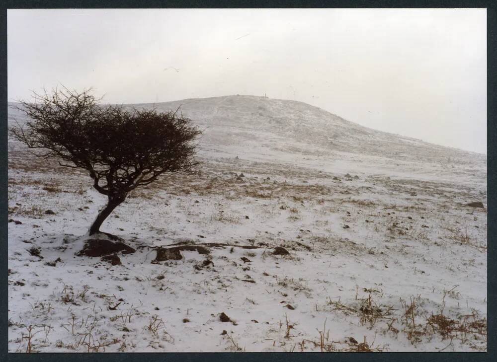 An image from the Dartmoor Trust Archive