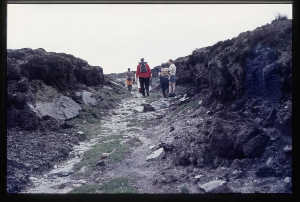 Whitehorse Peat Pass