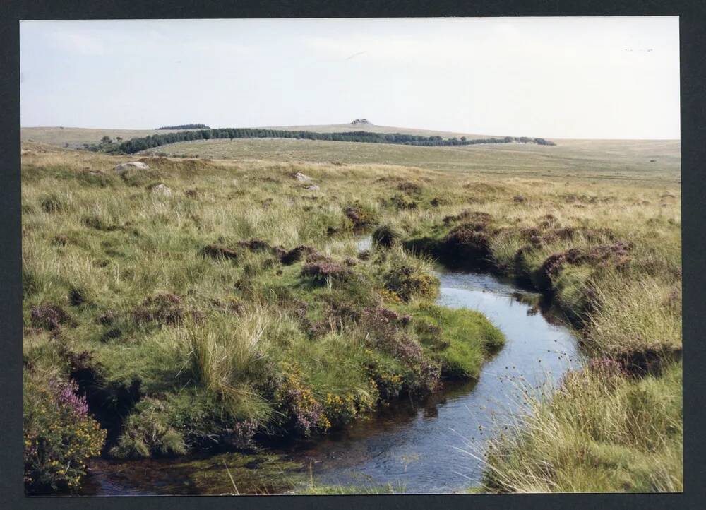 An image from the Dartmoor Trust Archive