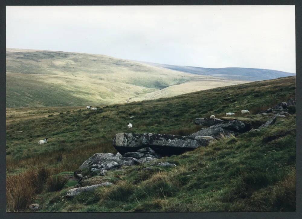 An image from the Dartmoor Trust Archive