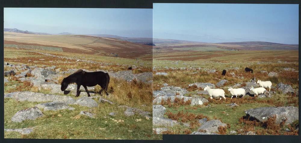 An image from the Dartmoor Trust Archive