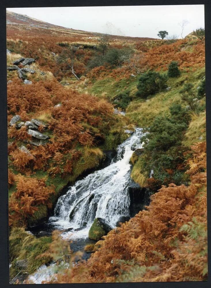 An image from the Dartmoor Trust Archive