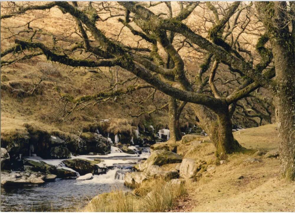 An image from the Dartmoor Trust Archive