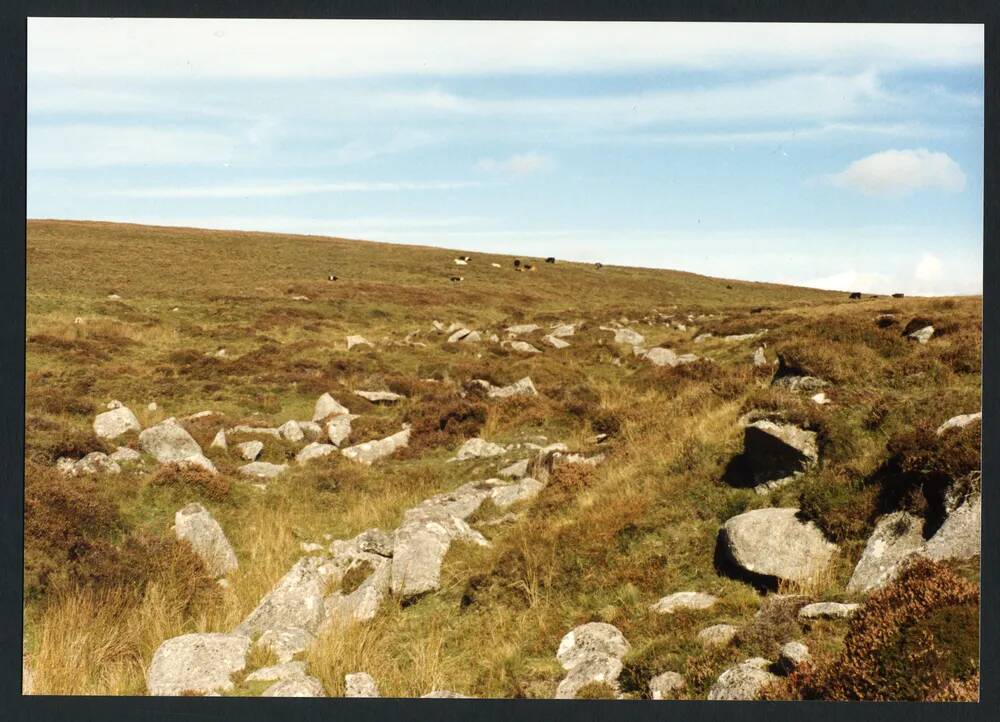 An image from the Dartmoor Trust Archive