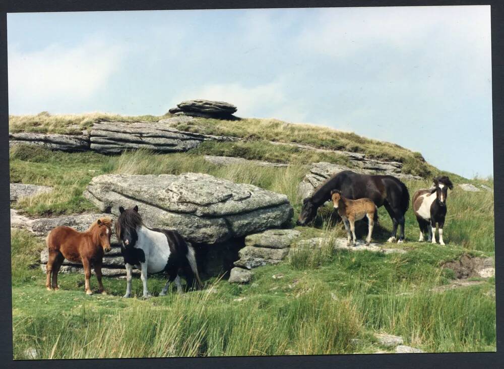 An image from the Dartmoor Trust Archive