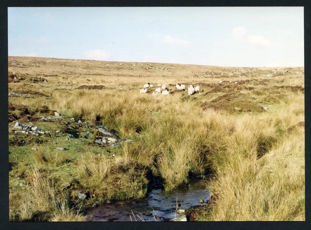 An image from the Dartmoor Trust Archive