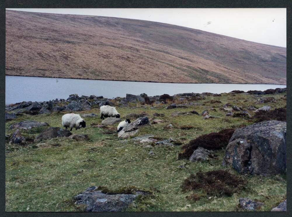 10/21 Settlement at Brockhill foot 25/4/1991