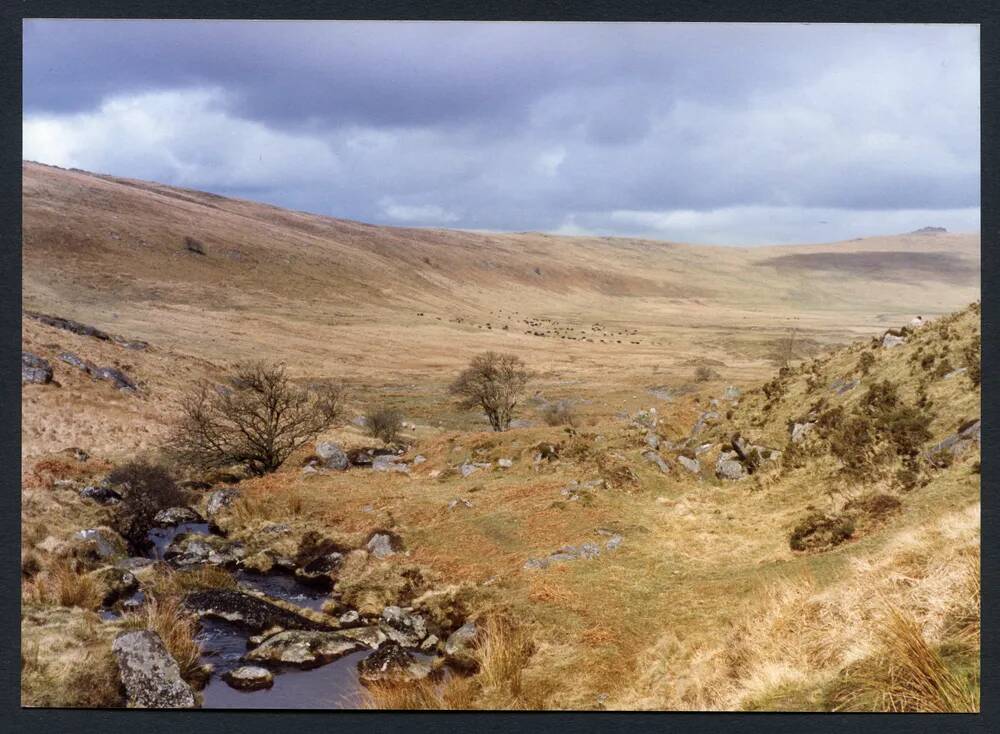 An image from the Dartmoor Trust Archive