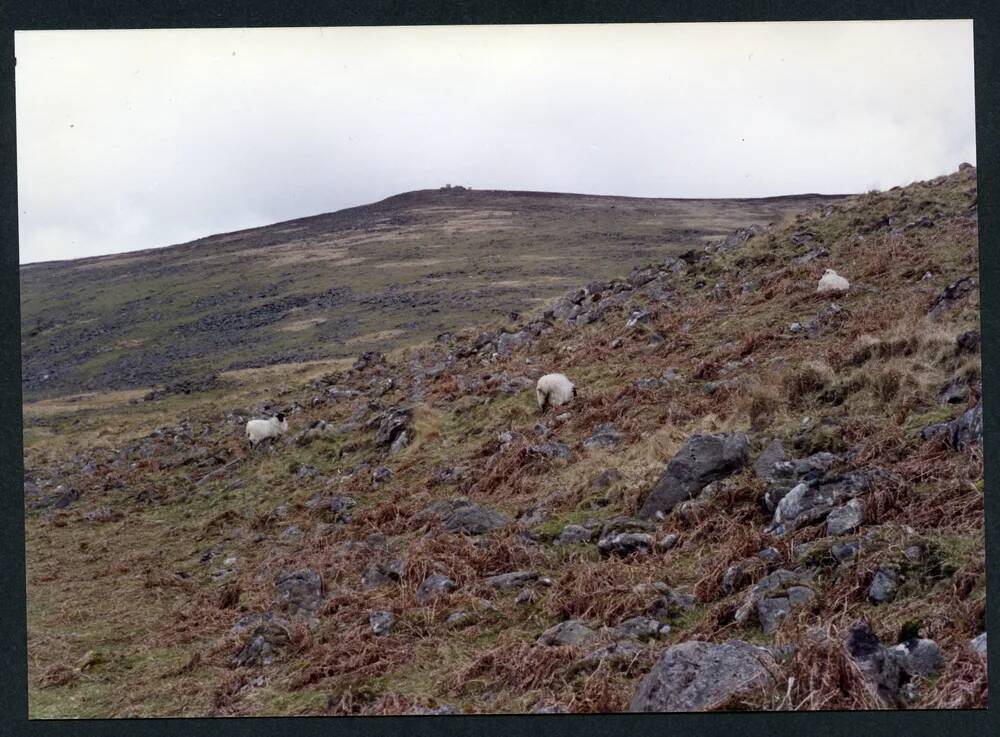 An image from the Dartmoor Trust Archive