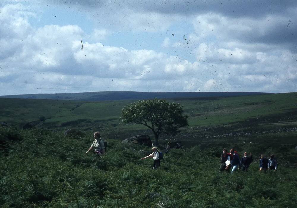 An image from the Dartmoor Trust Archive