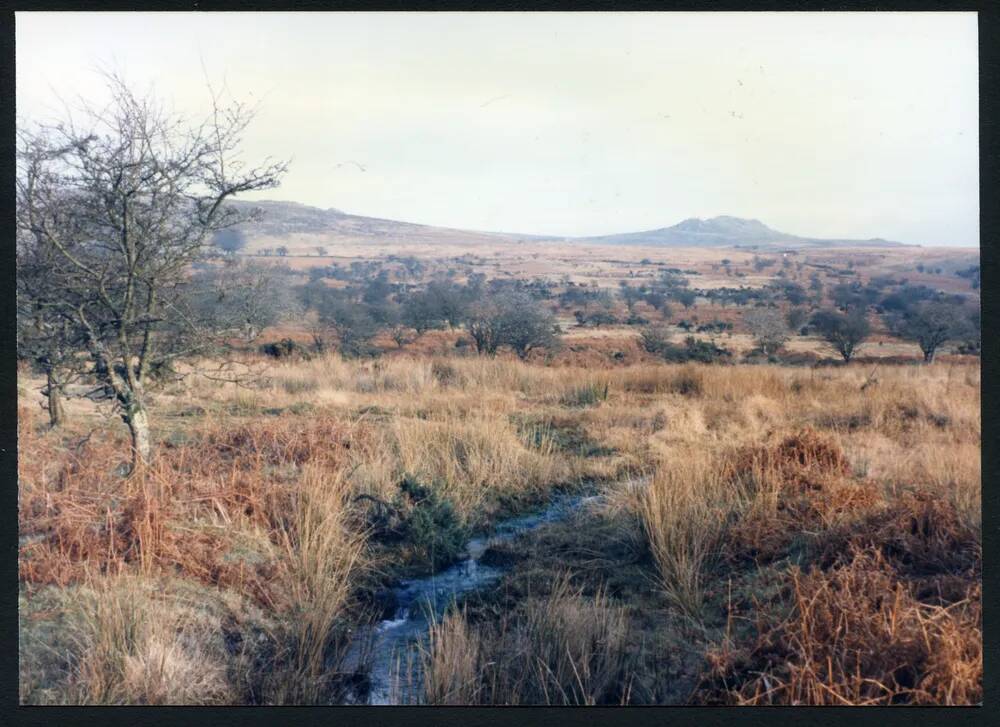 An image from the Dartmoor Trust Archive