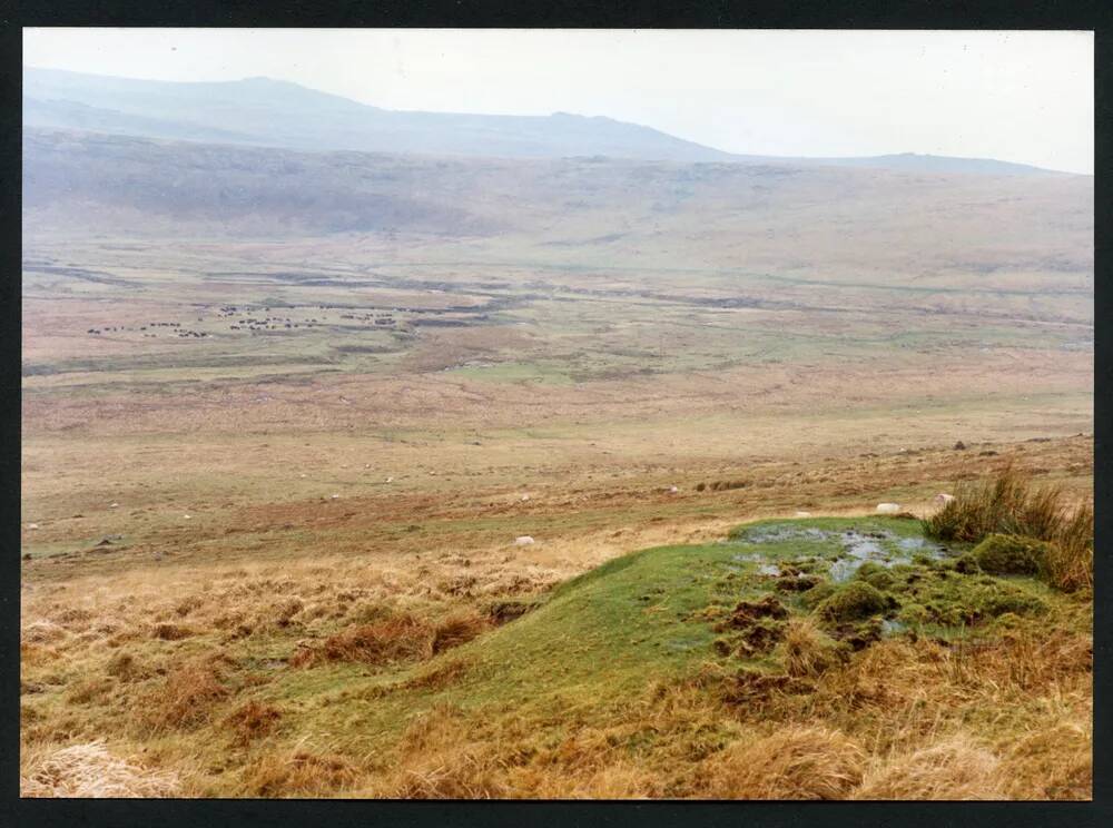 An image from the Dartmoor Trust Archive