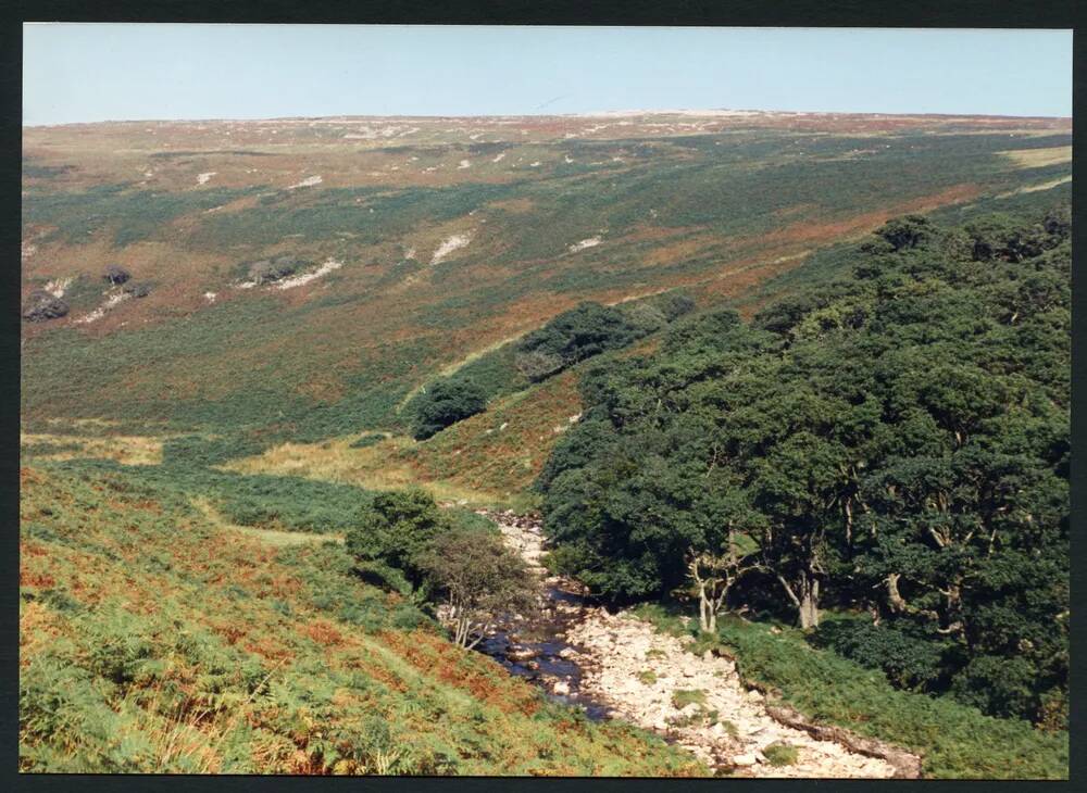 An image from the Dartmoor Trust Archive