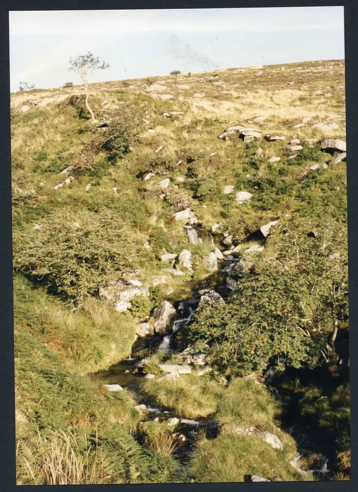 An image from the Dartmoor Trust Archive