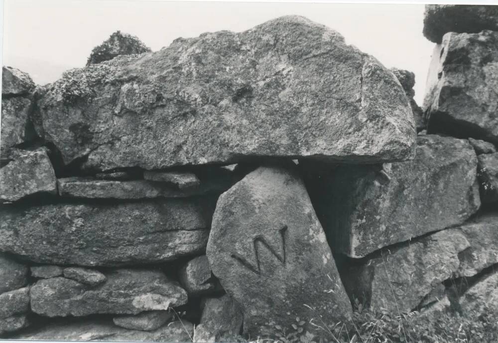 Warren boundary marker