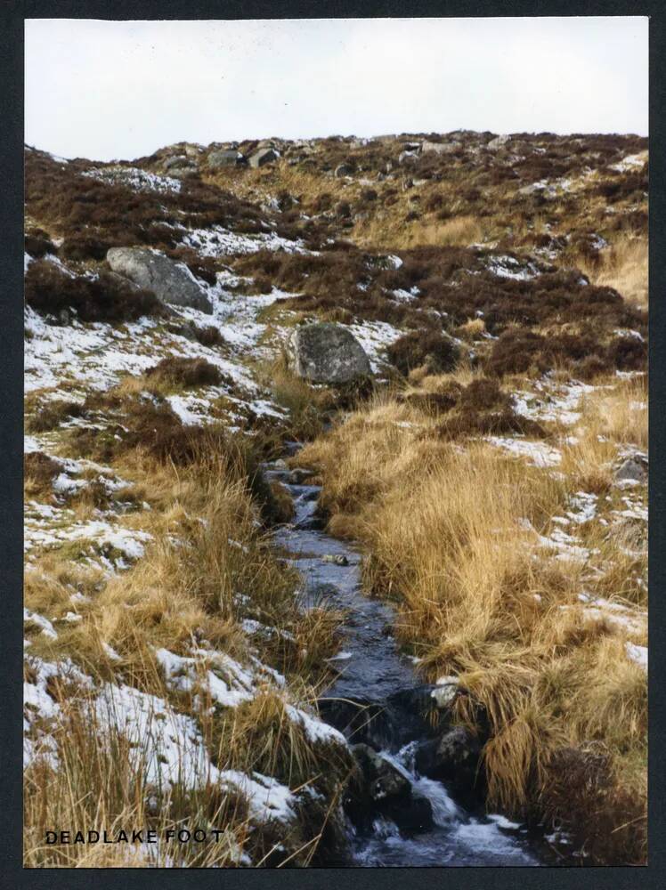 An image from the Dartmoor Trust Archive