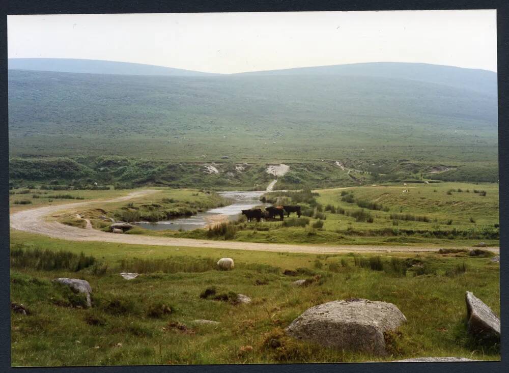 An image from the Dartmoor Trust Archive