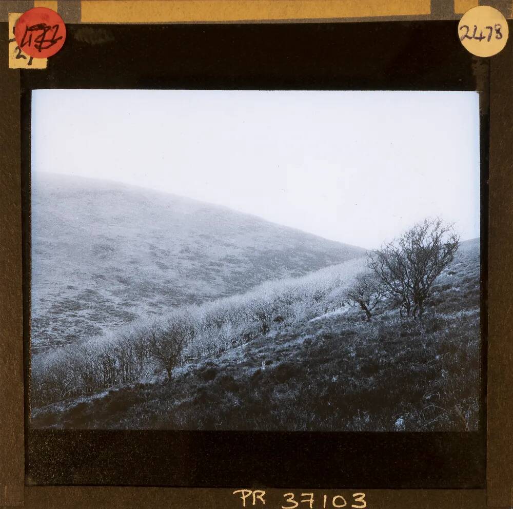 An image from the Dartmoor Trust Archive