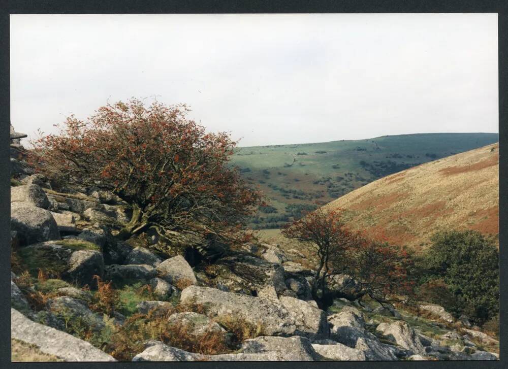 An image from the Dartmoor Trust Archive