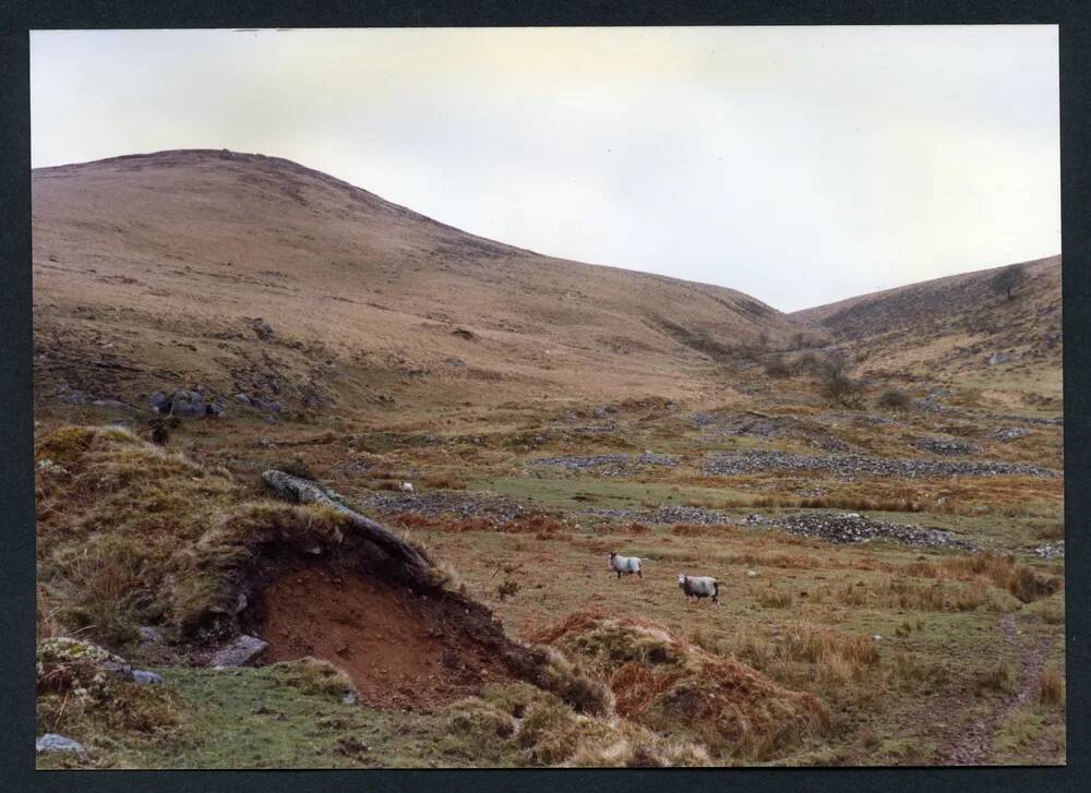 An image from the Dartmoor Trust Archive