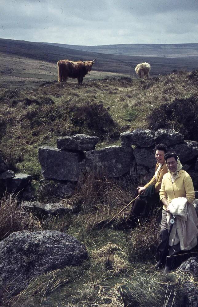 An image from the Dartmoor Trust Archive