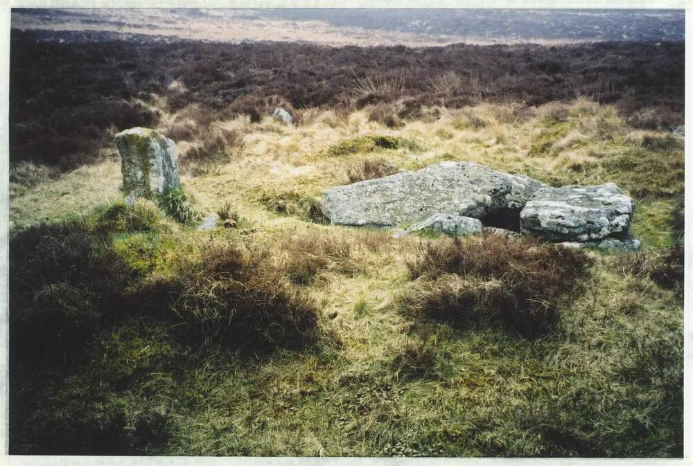 An image from the Dartmoor Trust Archive