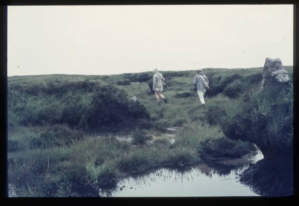 Peat Pass at  Black Ridge