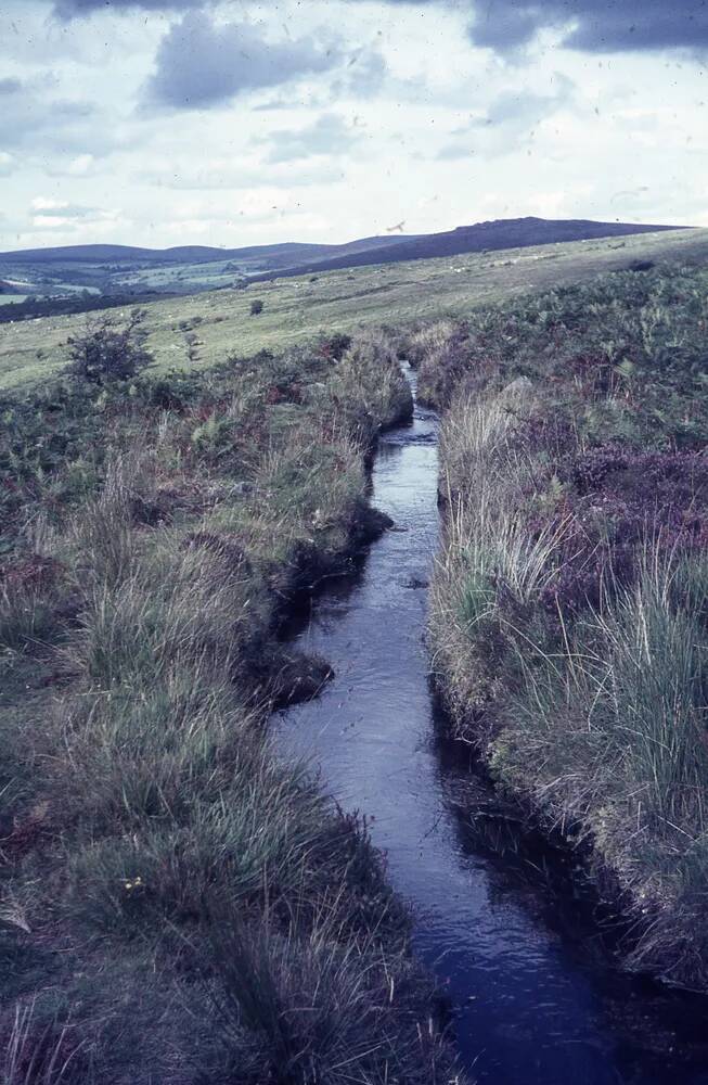 An image from the Dartmoor Trust Archive