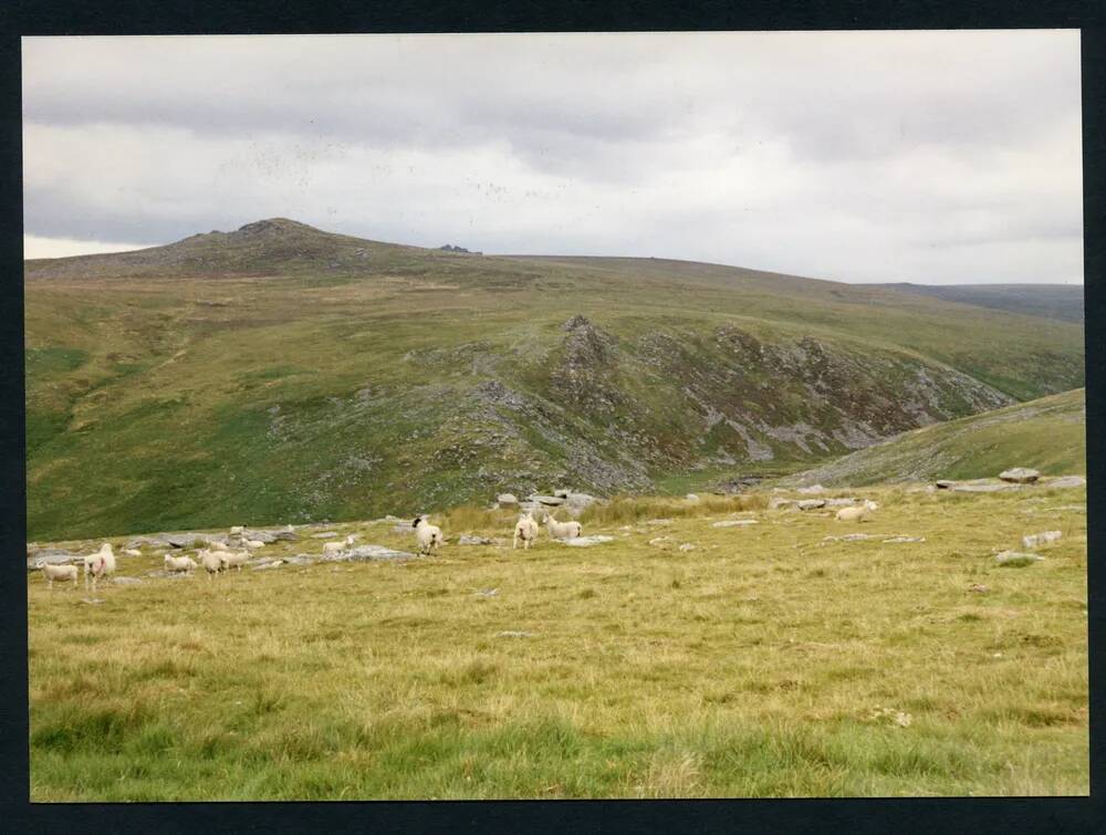 An image from the Dartmoor Trust Archive