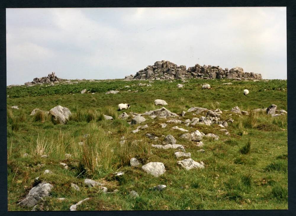 An image from the Dartmoor Trust Archive