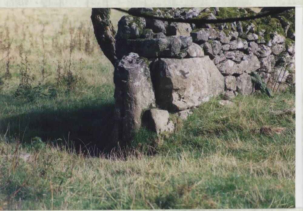 An image from the Dartmoor Trust Archive