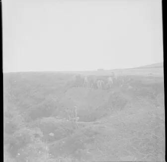 An image from the Dartmoor Trust Archive