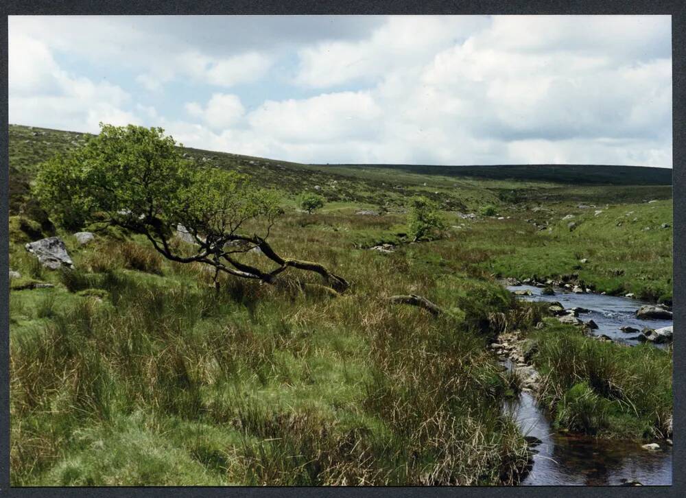 An image from the Dartmoor Trust Archive