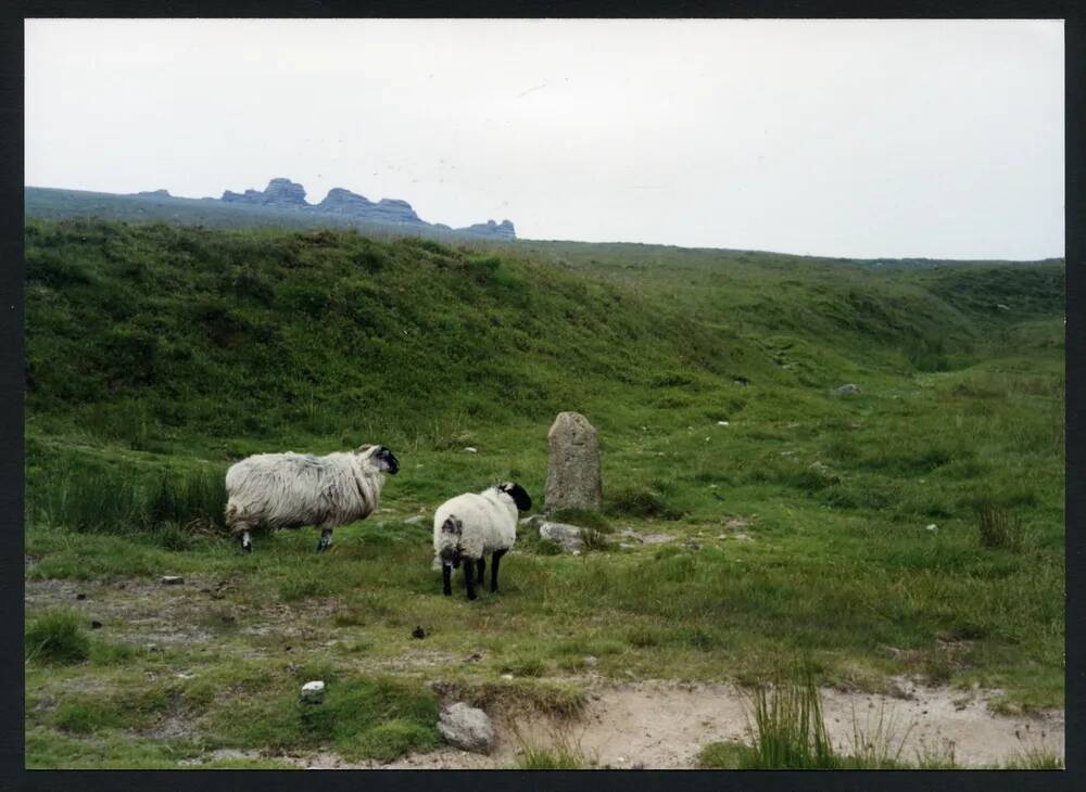 An image from the Dartmoor Trust Archive