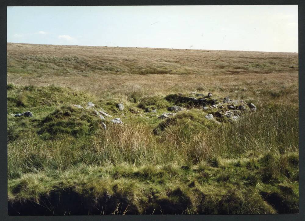 31/48 Tinners building below source of East Dart 4/9/1993