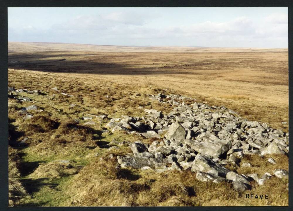 An image from the Dartmoor Trust Archive